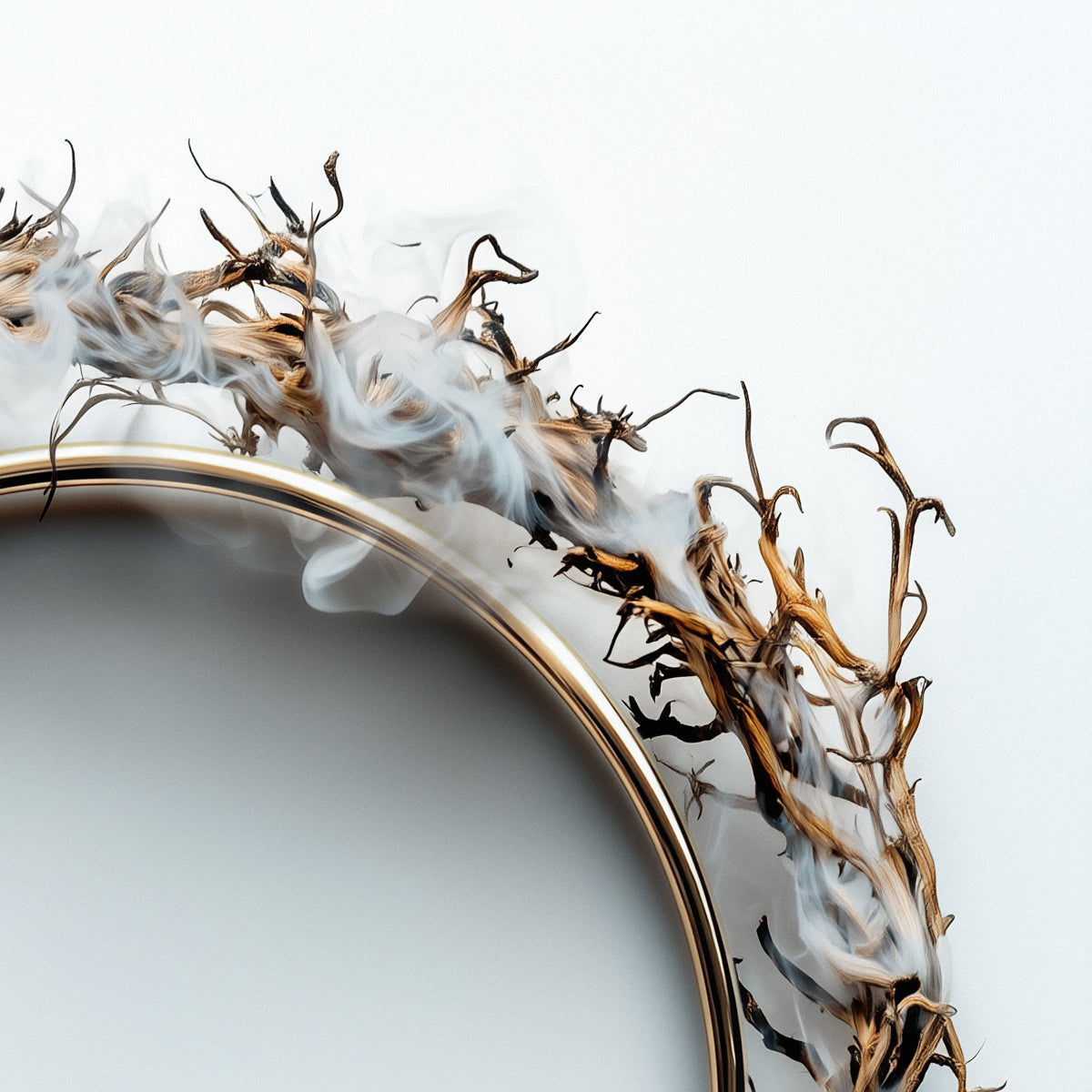 Trinity Crown 2